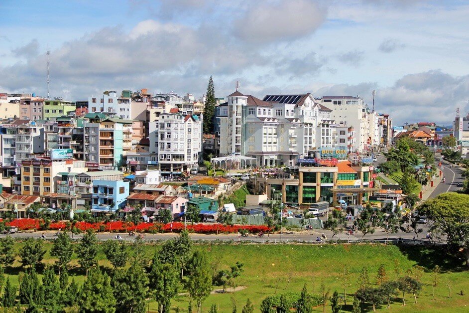 Vào mùa đông, hai bên cầu rực rỡ sắc vàng của một loài hoa có tên rất lạ - Hoa Dã Quỳ.